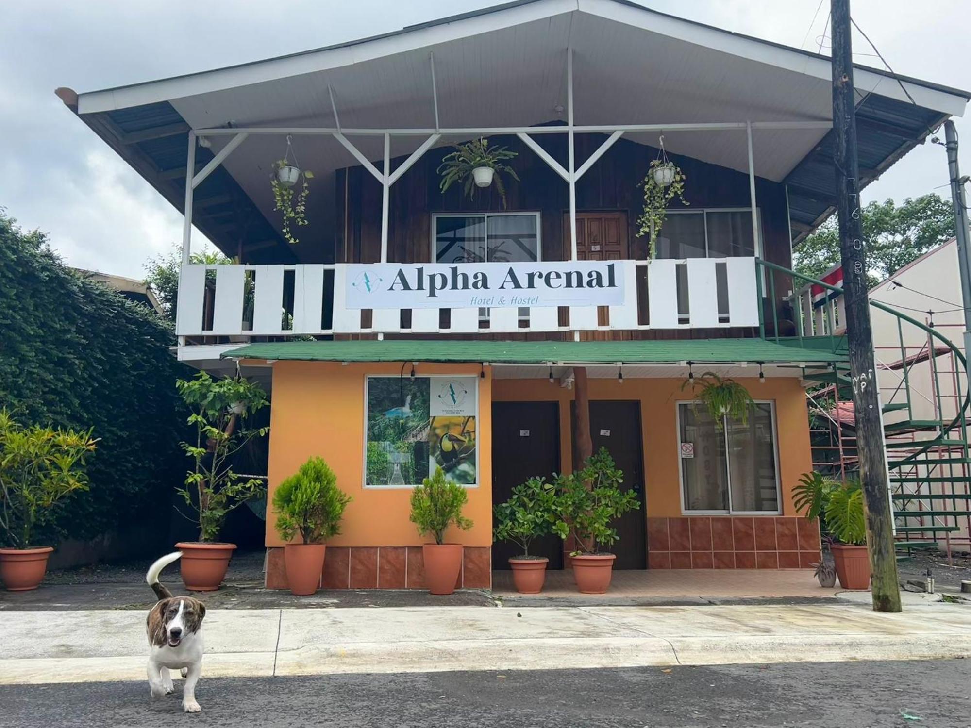 Alpha Arenal Hostel La Fortuna 外观 照片