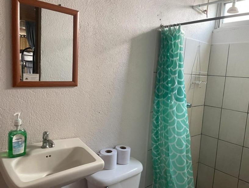 Alpha Arenal Hostel La Fortuna 外观 照片